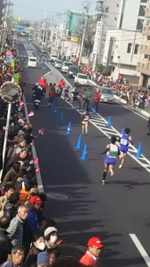 12376190_489981364519794_4084360358773036998_n