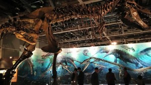 12472477_514789365372327_520640260350087695_n