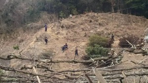 1918087_507833079401289_3178242041768673060_n