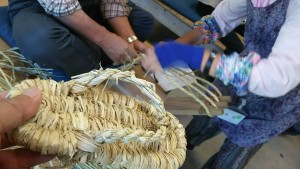 13310388_542664809251449_3895876808299485837_n