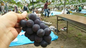 13900202_574305462754050_694748701393204139_n