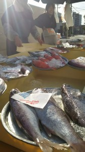 15380401_629068240611105_4398468947934092167_n