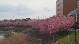 17310216_672601779591084_2977999187569955409_o