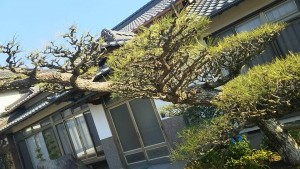 17342844_676953895822539_1904295385588447224_n