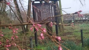 17426390_682261425291786_8386387546081841356_n