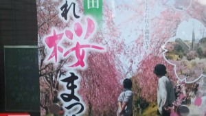 17523689_682261411958454_938470708922134294_n