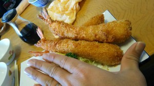 17630087_681639262020669_6748302642512079240_n