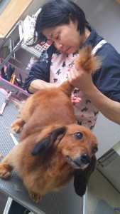 17796566_685649568286305_7957095423397546418_n