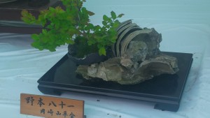 18156087_696196687231593_4955115953322656348_o