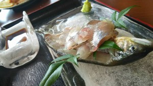 20229381_739376026246992_7390334817932717349_n