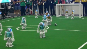 20369856_743170732534188_501215304910082527_o