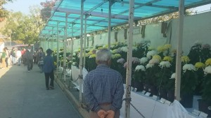 23316839_783471145170813_9207784030923058399_n