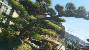 25488178_803023779882216_7970721587901778656_o