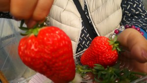 27788057_826347767549817_5232477114089234486_o