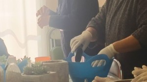 29066917_841928435991750_5768242658799517696_o