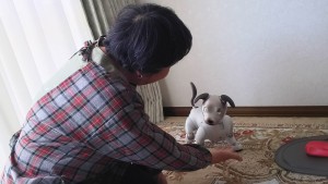 29744569_851753951675865_1597033089015688123_o