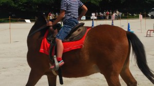 31711108_866080446909882_3208862786595586048_o