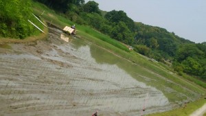 32931298_874085589442701_6632474496336920576_n