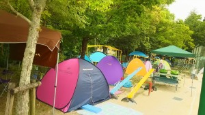 33553549_877793985738528_9200412275561725952_n