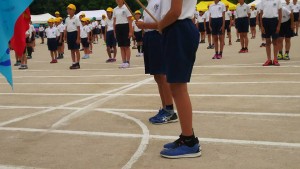 33599892_877793955738531_6542985820477849600_n