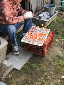 A0E0A68D-C59F-4AC7-B7C6-C29FB13D2002