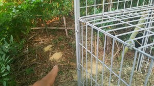 37733335_927232494128010_5091067371536252928_n