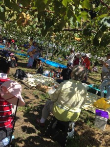 40091593_1604836882955427_5470008938743201792_n