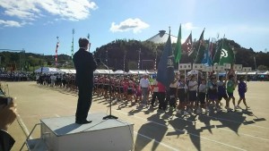 43308162_981951265322799_8131261204665466880_n