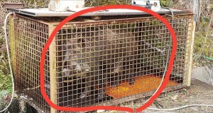 49512223_1029350787249513_8147160958846894080_n