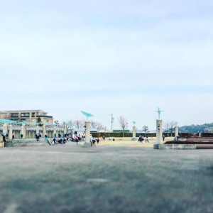 49625800_2104427886313110_3448972748594872320_n