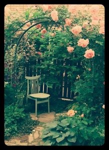 32418032_872151759636084_377659270360989696_n-218x300