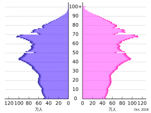 2000px-Population_pyramid_of_Japan_svg-300x225