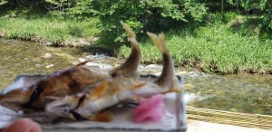 61349645_1121675411350383_6422275644364685312_o