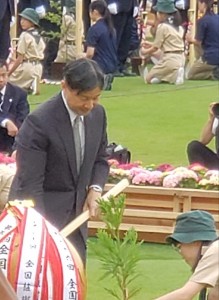 61835169_1123865557798035_5434557183465357312_n